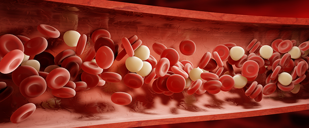 Anaemia Banner Image