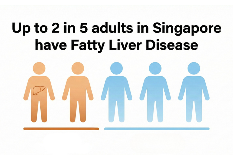 Infographic showing that up to 2 in 5 adults in Singapore have fatty liver disease.
