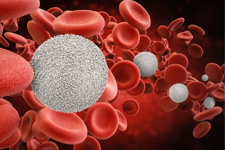 Bloodstream illustration showing how semaglutide regulates sugar levels, hormones, and appetite.