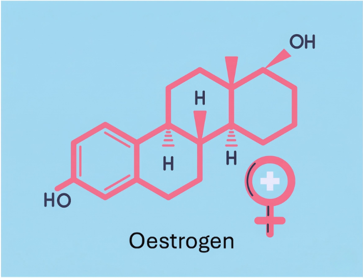 Chemical structure of oestrogen used in hormone replacement therapy (HRT).